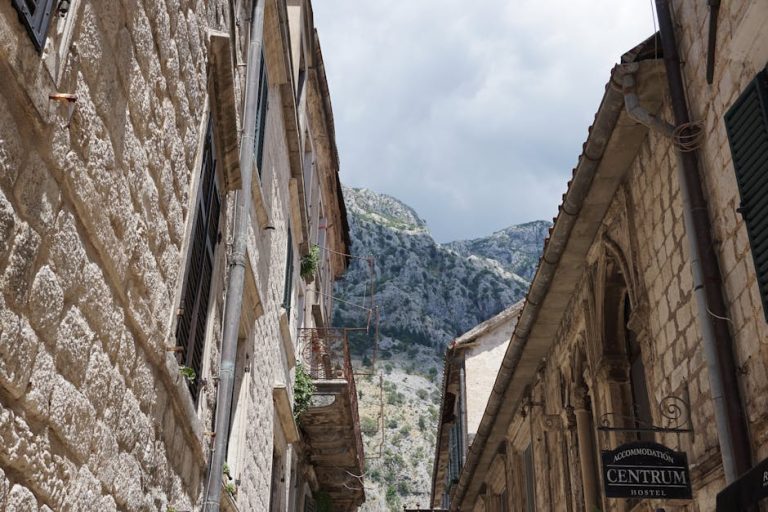 迷你倉：提升空間運用效率的教學指南