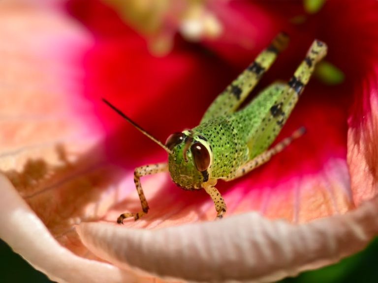 迷你倉使用全攻略:理性教學步驟詳解