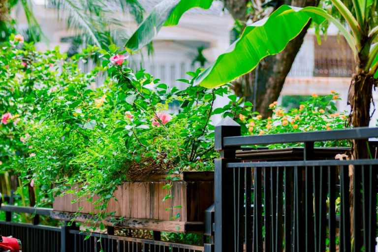 迷你倉:專業帶你探索空間管理新革命