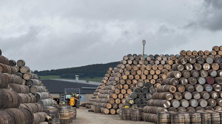 迷你倉的奇妙世界:一場空間的冒險之旅